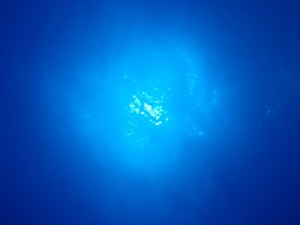 p4200038